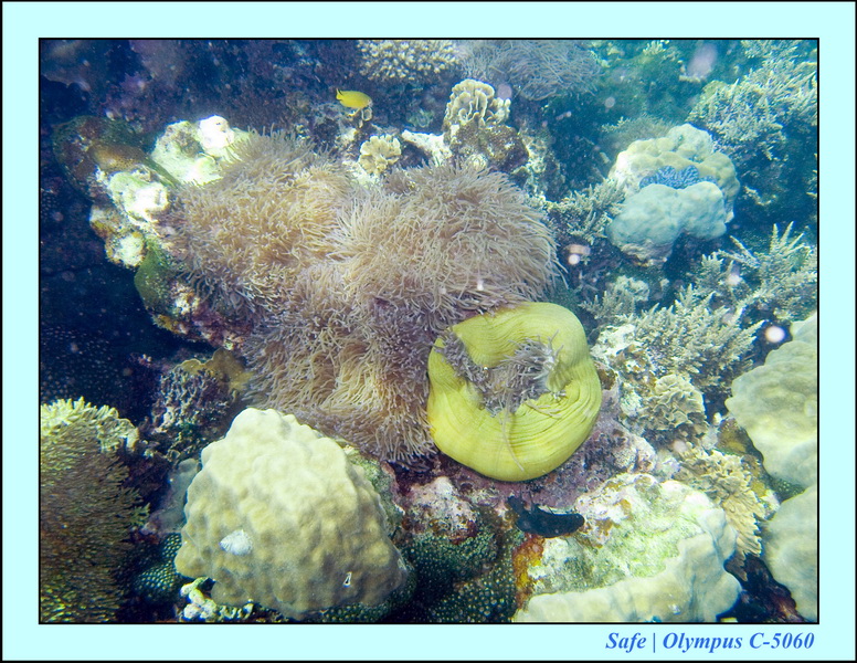 2008 - 07 - Redang - 075